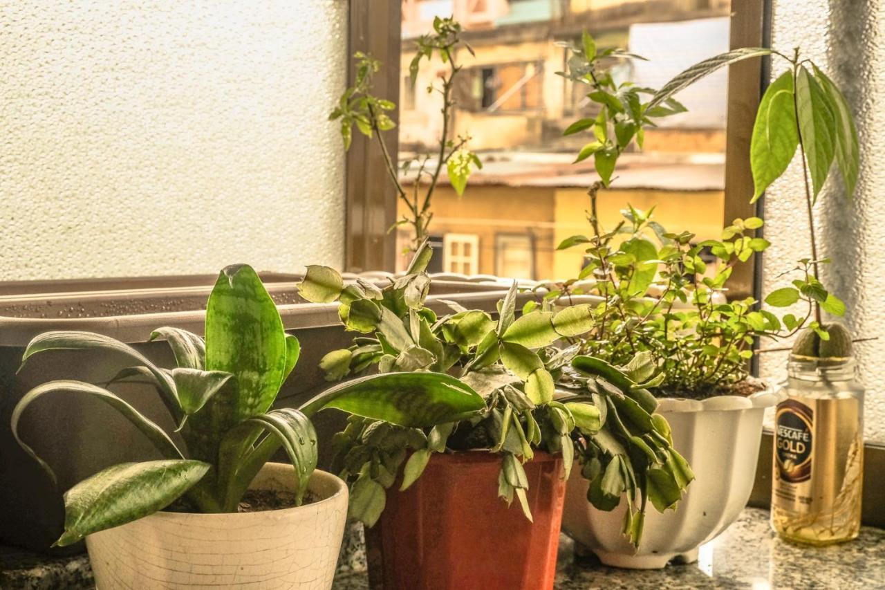 Dora Hostel Dalat Exteriör bild